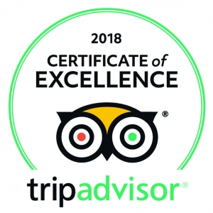 trip-advisor